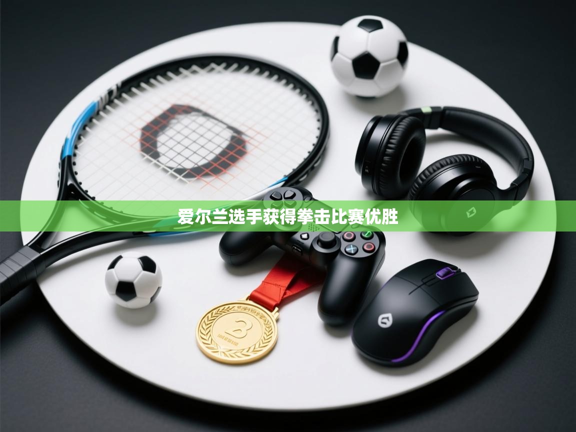 爱尔兰选手获得拳击比赛优胜  第1张