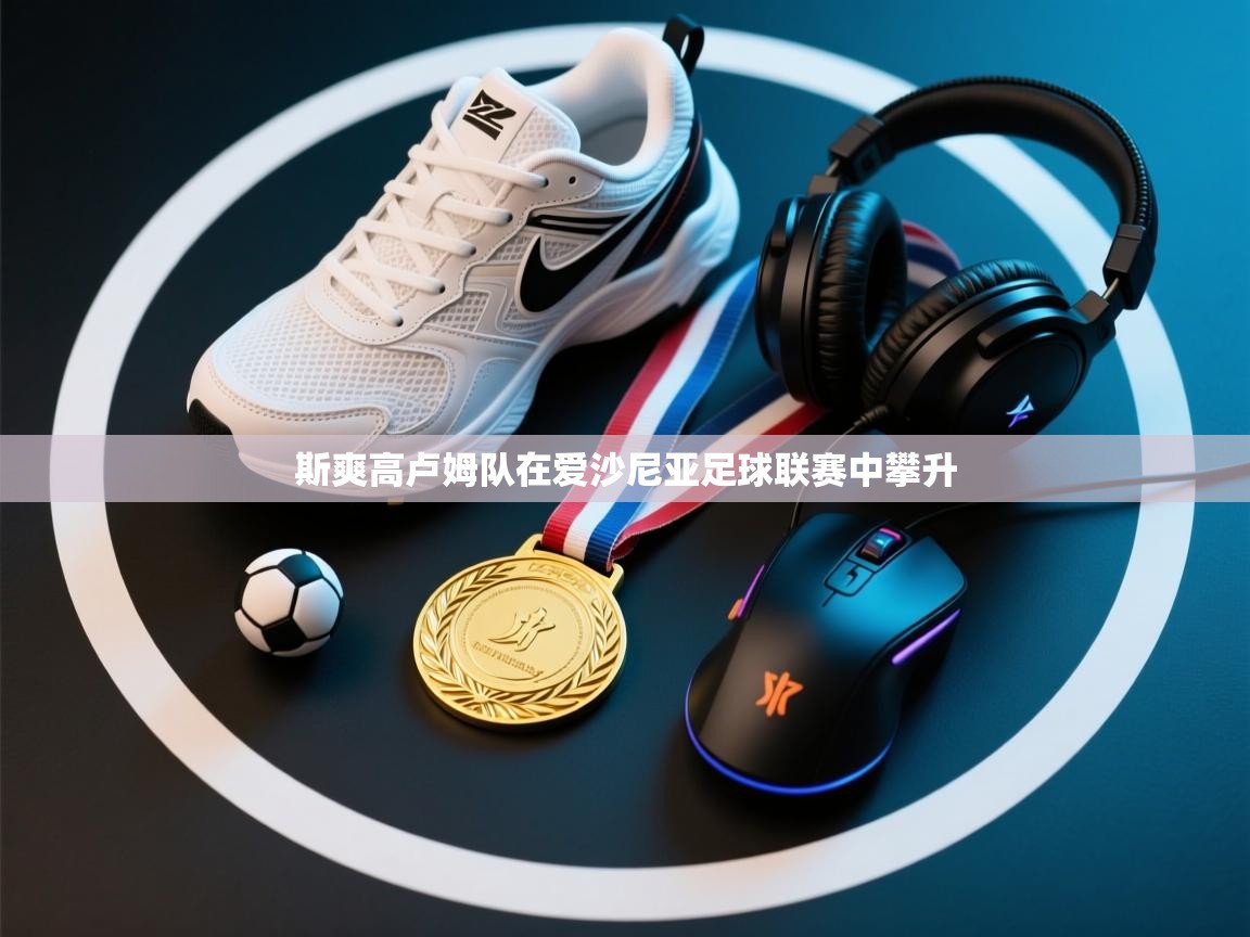 斯爽高卢姆队在爱沙尼亚足球联赛中攀升 第2张