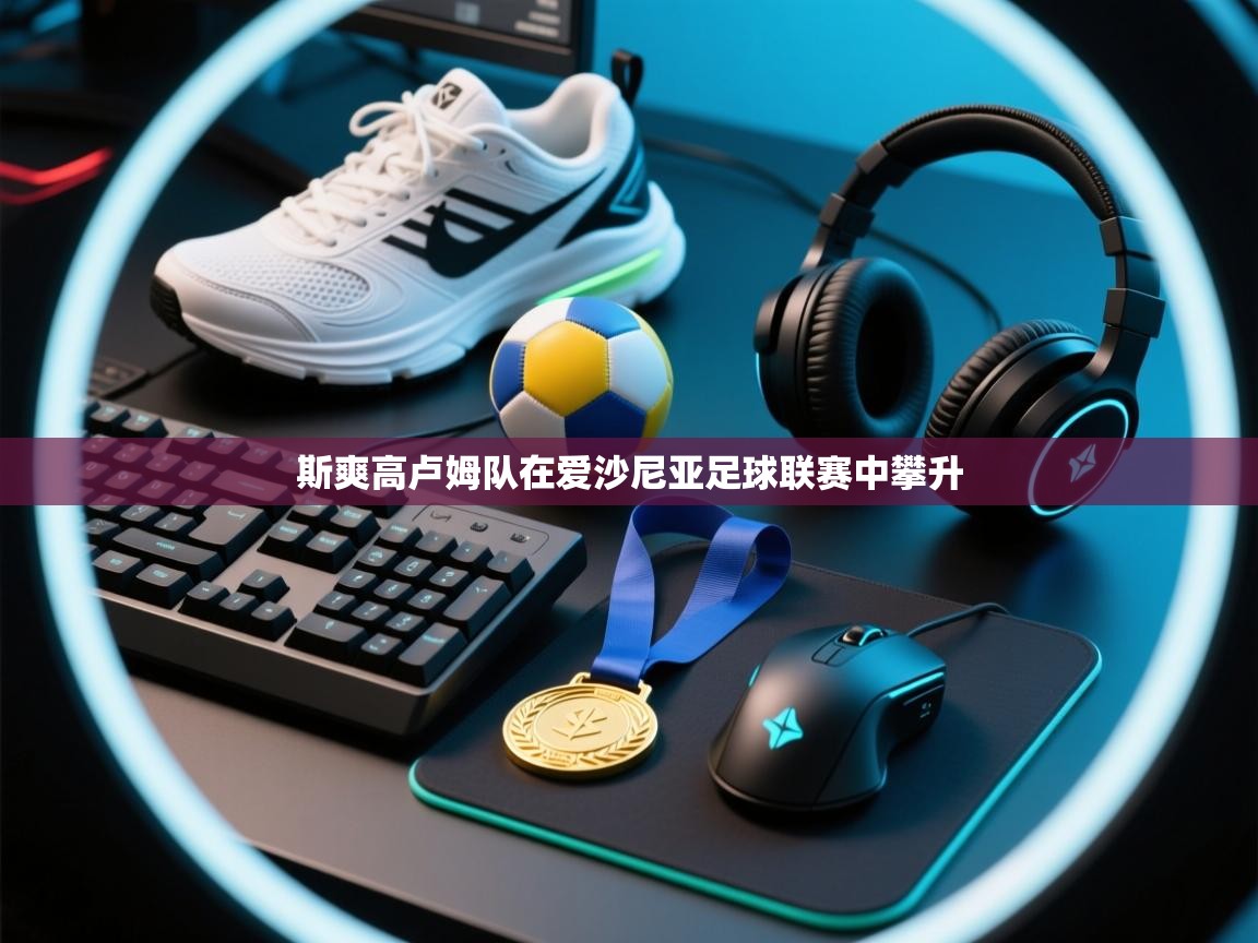 斯爽高卢姆队在爱沙尼亚足球联赛中攀升 第1张