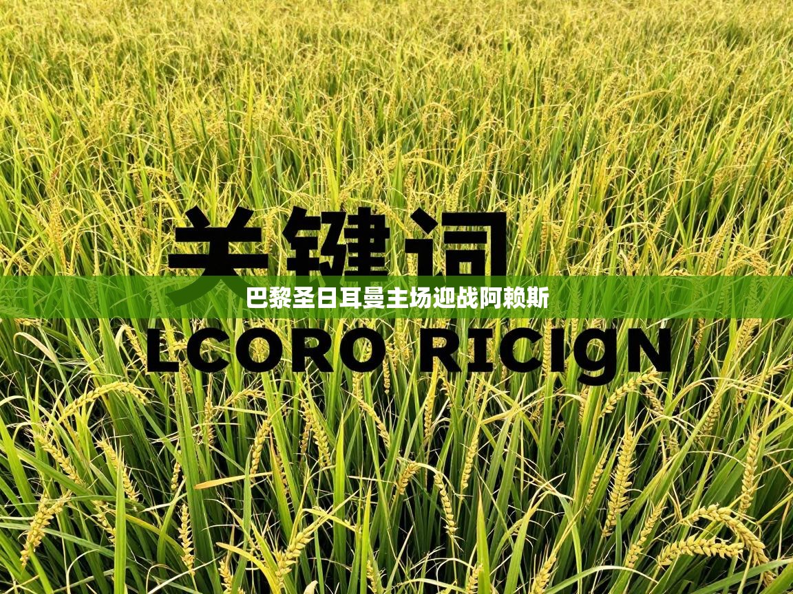 巴黎圣日耳曼主场迎战阿赖斯  第2张