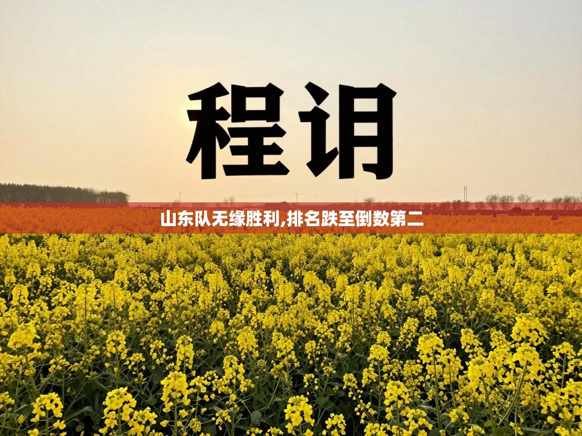 山东队无缘胜利,排名跌至倒数第二  第1张