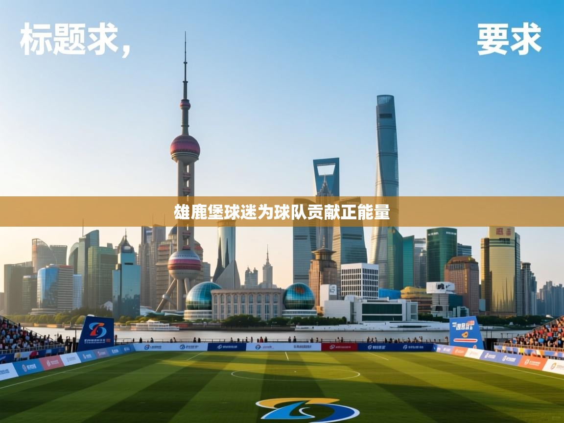 雄鹿堡球迷为球队贡献正能量 第2张